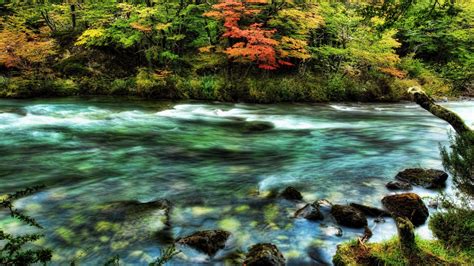 Download Wallpaper 1366x768 River Wood Stream Colors Stones Moss