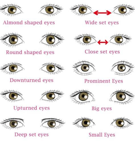 Different Types Of Eye Shapes Which One You Have