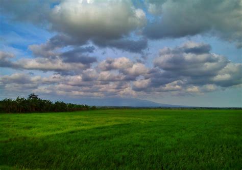 Free Images Landscape Nature Horizon Cloud Sky Lawn Meadow