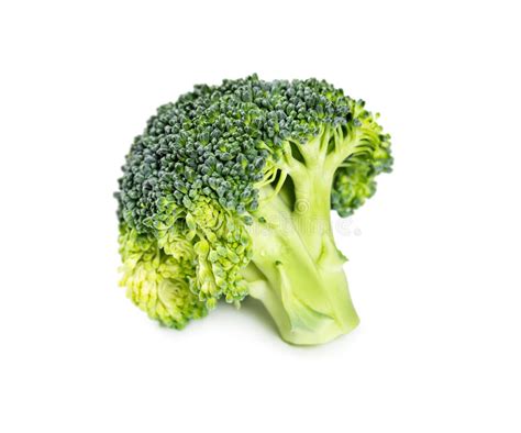 Broccoli Isolated On White Background Stock Photo Image Of Studio