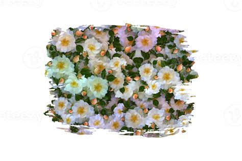 Flower Sublimation Clipart Png 21444118 Png