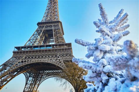 Christmas Tree Covered With Snow Near The Eiffel Tower In Paris Stock