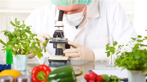 Food Biotechnology Group Science Shriyansh Kar