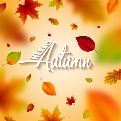 Autumn Illustration With Falling Leaves And Lettering On Clear