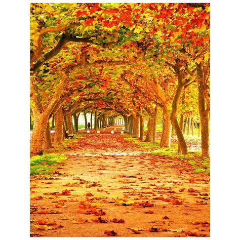 3x5ft Yellow Natural Scenic Photography Backdrops Autumn Backdrop