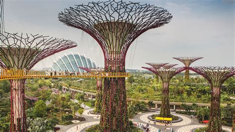 Singapore Aims To Be The Worlds Greenest City