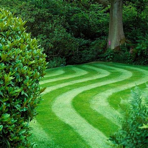 How To Grow Greener Grass Lush Lawn Lawn Maintenance Green Lawn
