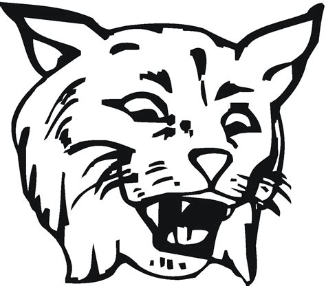Bobcat Coloring Pages Coloring Page Blog