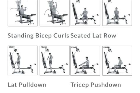 Minute Bowflex Workout Chart For Workout At Gym Workout Routine Everyday