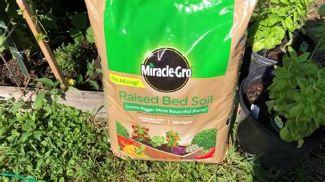 Miracle Grow Raised Bed Soil 🌺 There Is A Way That Seems Right Youtube