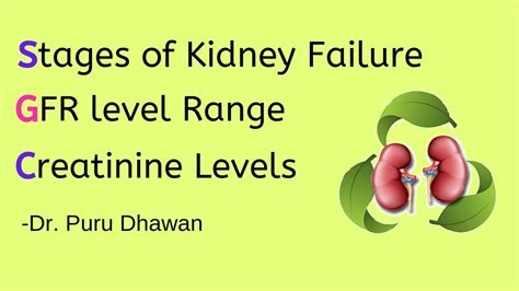 Stages Of Kidney Failure Gfr Level Range Creatinine Levels Youtube