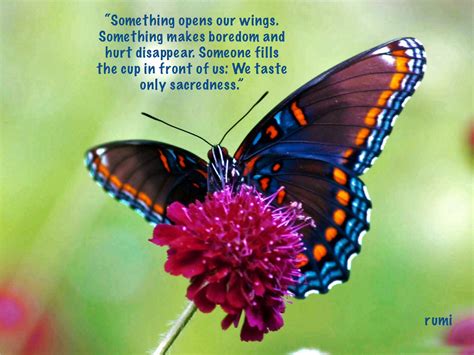 Butterfly blessings | Butterfly blessings - count your blessings | Pi…