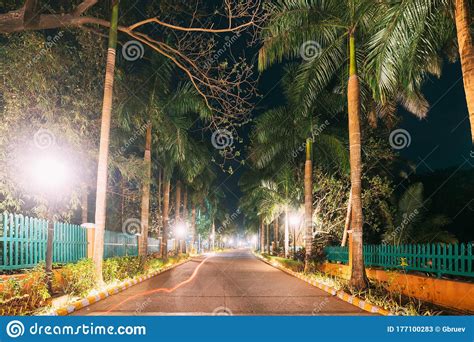 Goa India View Of Walkway With Palm Tree In Evening Or Night
