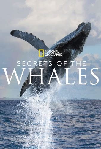 78 min | documentary, history, news. Secrets of the Whales - TheTVDB.com