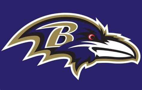 Raven Bird Logo