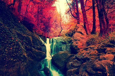 1920x1080px 1080p Free Download Autumn Forest Waterfall Red Trees