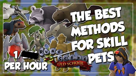 Best Methods For Skilling Pets In Osrs Easiest Pets To Get Afk