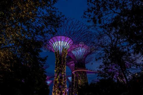 View Of Garden By The Bay At Night Singapore Editorial Photography