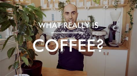 Coffee is drunk more than any beverage. What is: Coffee exactly? And Where Does It Come From ...
