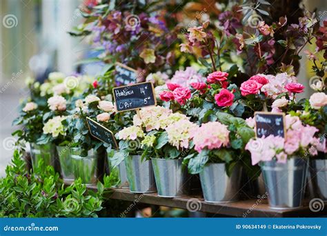 Outdoor Flower Market In Paris Stock Image Image Of Euro Price 90634149