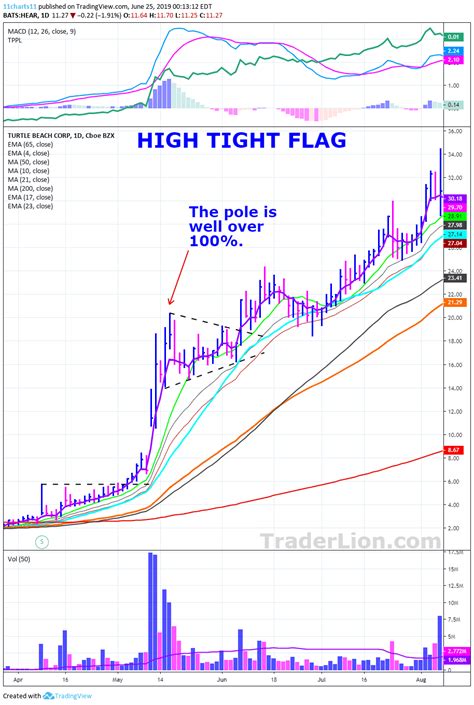 What Is The High Tight Flag Chart Pattern Traderlion