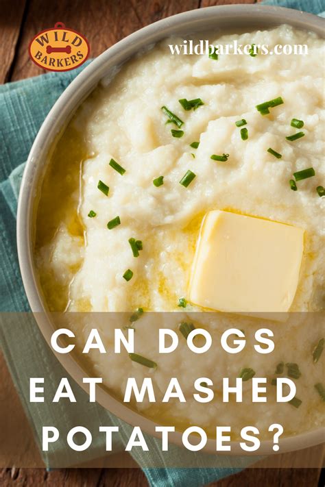 They can be baked, boiled, fried and flavored hundreds of ways. Pin on Can Dogs Eat