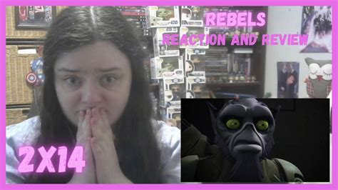 Star Wars Rebels 2x14 Legends Of The Lasat Reaction Youtube