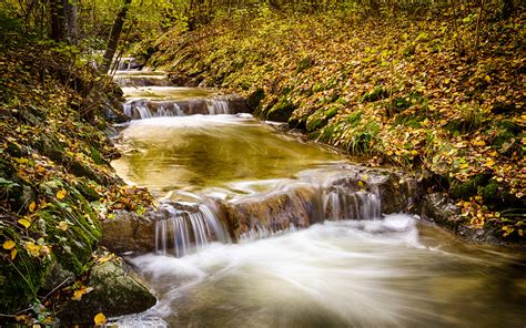 Waterfall Stream Forest Timelapse Trees River Autumn Wallpapers