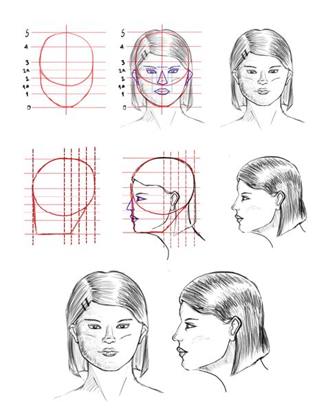 Aprende A Dibujar Rostros Humanos Dibujo Profesional