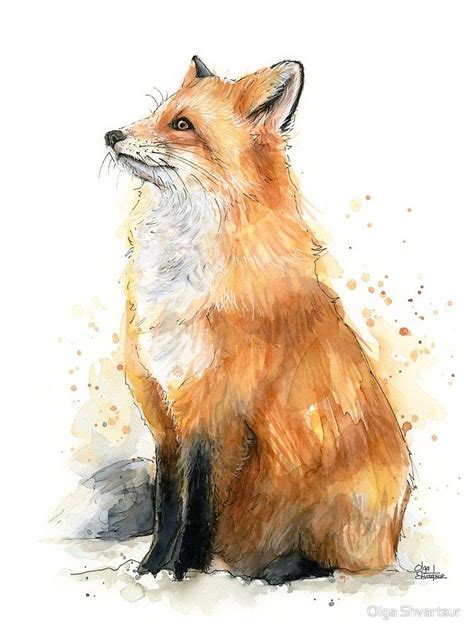 Watercolor Fox Painting By Olga Shvartsur Art Fox Fox Wall Art Fox Art Print Red Fox Art