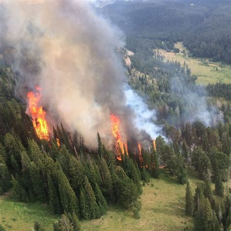 Wildfire In Yellowstone National Park Grows To 500 Acres Protect The