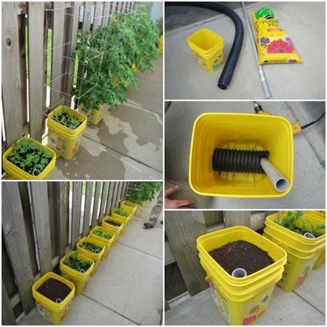 Self Watering Container Garden Self Watering Containers Diy Self