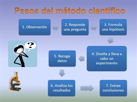 Cuales Son Sus Etapas Del Metodo Cientifico Slingo