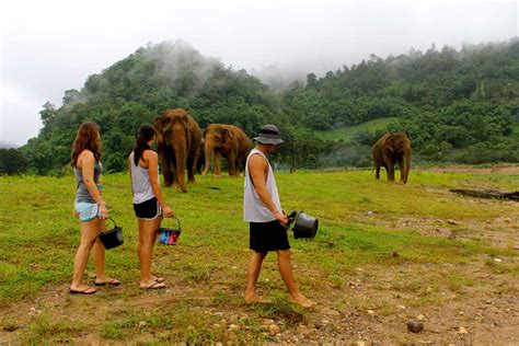 Volunteering Opportunities In Chiang Mai Thailand Tean