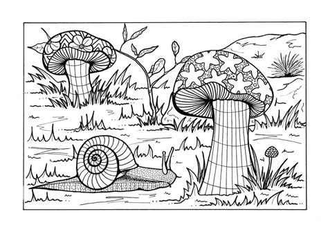 The most beautiful landscapes are coloring and activity books for all ages. Forest Floor Adult Coloring Page | FaveCrafts.com