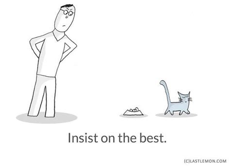 Important Life Lessons We Can All Learn From Cats 21 Pics