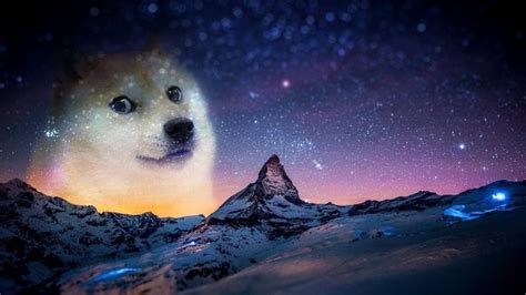 10 Cool Doge Wallpapers 🖼️ Foto En Dibujo Wallpaper Para Pc Fotos