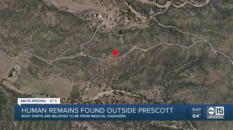Human Body Parts Found Discarded At 2 Sites In Arizona