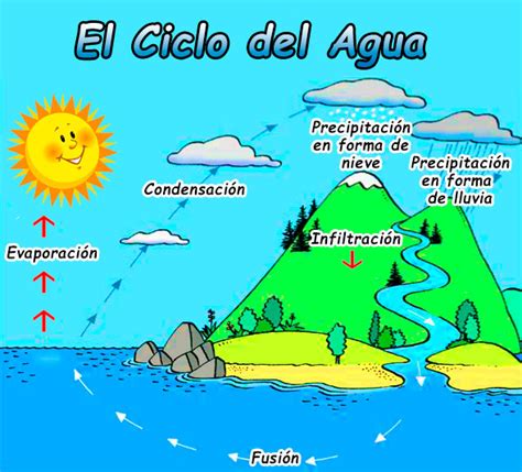 Que Es El Ciclo Del Agua Esquema Y Explicacion Images