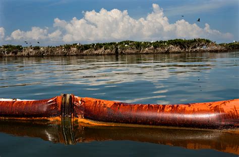 On october 5, 2015, we proposed a comprehensive, integrated, ecosystem restoration plan to address impacts from the spill to the gulf of mexico. Robin Loznak Photography: Deepwater Horizon oil spill photos Barataria Bay