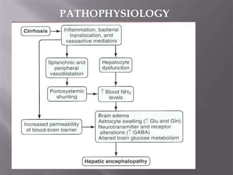 Hepatic encephalopathy affects 30 to 45% of patients with cirrhosis and a higher. Hepatic encephalopathy presentation latest aspect