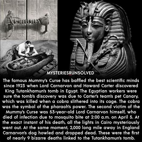 The Curse Of The Pharaohs A Dark Secret Behind The Mummy Of