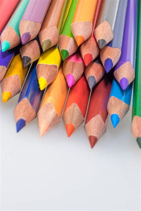 Free Images Hand Pencil Petal Finger Macro Office Paint