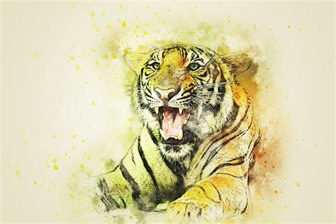 Tigre Animales Arte · Imagen Gratis En Pixabay