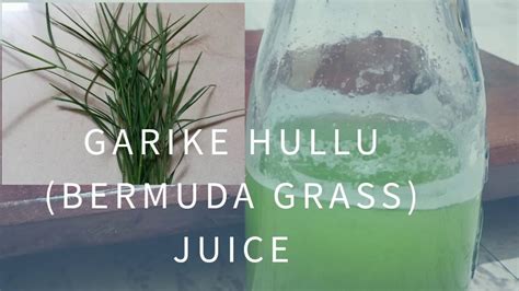 Garike Hullu Bermuda Grass Juice Healthy Juice ಗರಿಕೆ ಹುಲ್ಲು