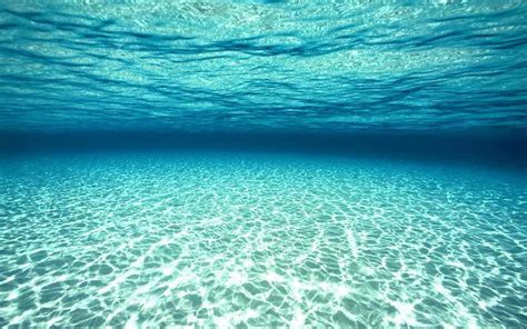Photo Style Background Images Underwater