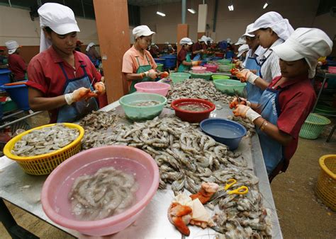 Burmese Lead Migrants Push For Better Pay Benefits At Thai Seafood Firm Dvb