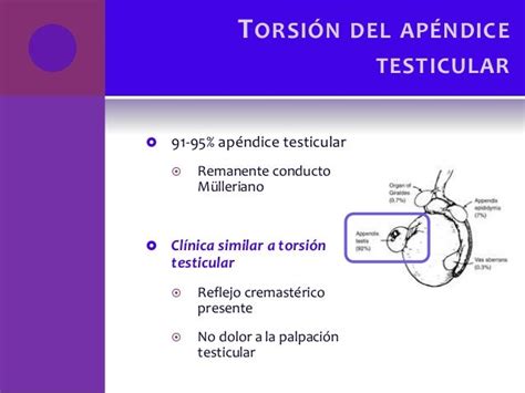 Torsion Testicular