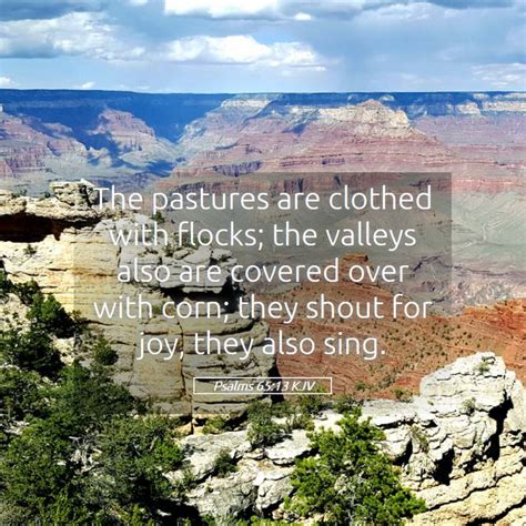 Psalms Kjv The Pastures Are Clothed With Flocks The Valleys