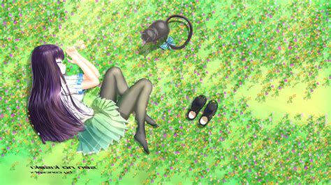 Wallpaper Anime Girl Lying Down Grass Sen No Kiseki Sleeping Neko